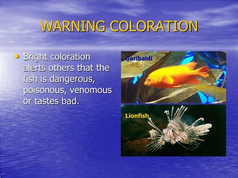 another name for warning coloration