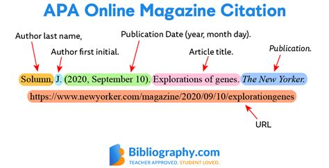 apa citation format example internet source