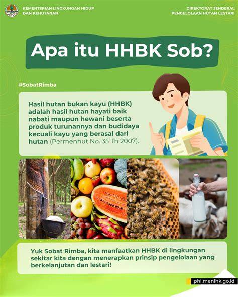 Apa itu HHBK