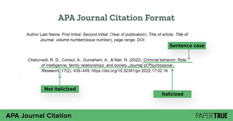 apa journal citation example in text