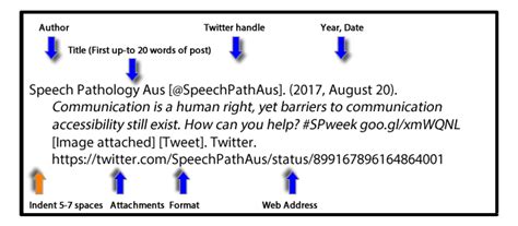 apa link format example