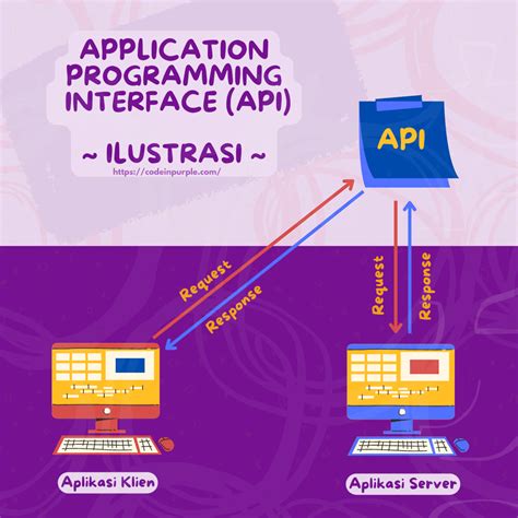 apa yang dimaksud dengan application programming interface