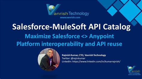 Api Catalog Salesforce