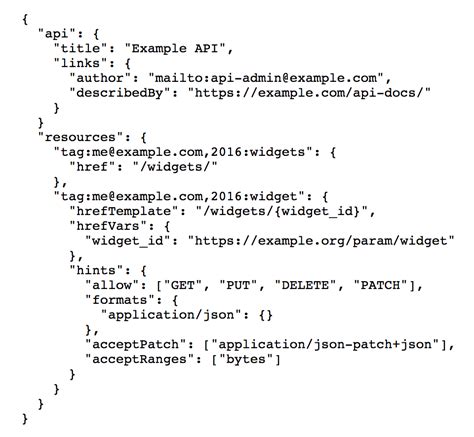 api file format json