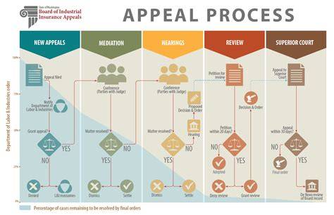 appeal process