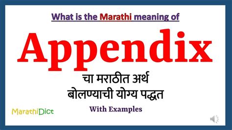 appendix meaning in marathi