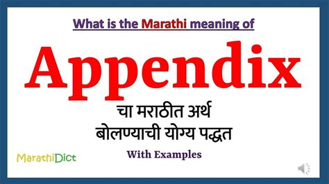 appendix meaning in marathi with example