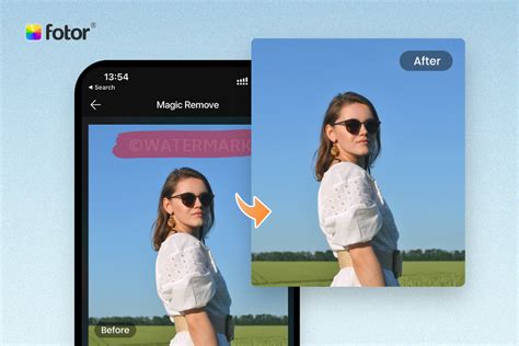 application to remove watermark from video