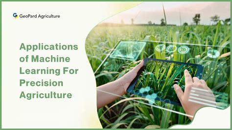 applications of artificial intelligence and machine learning in agriculture
