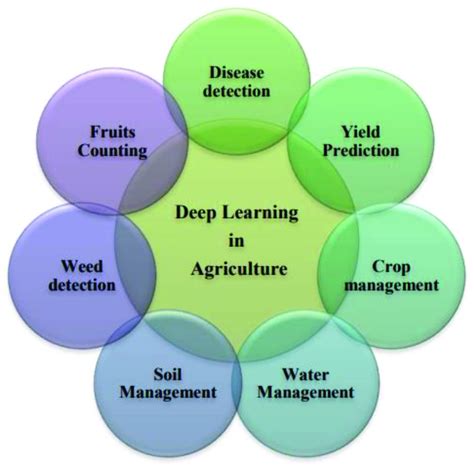 applications of deep learning in agriculture