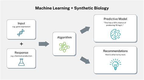 applications of machine learning in biology