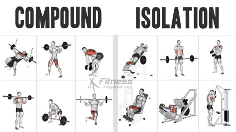 are compound exercises better than isolation