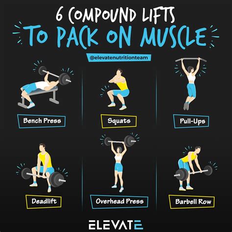 are compound exercises good for beginners
