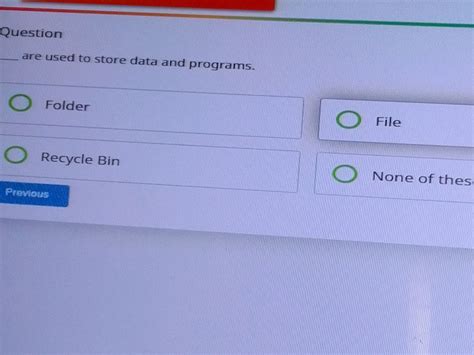 are used to store data and programs. folder files in recycle bin none of these
