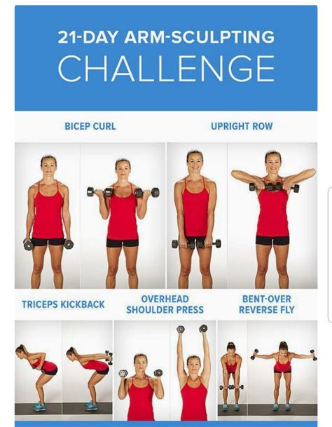 arm exercises with weights for beginners