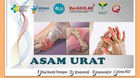 asam urat