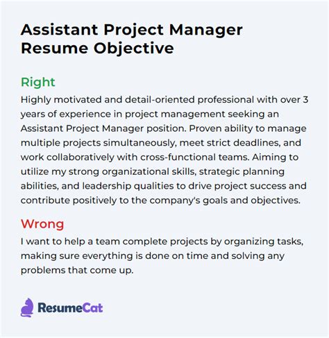 assistant project manager objective statement