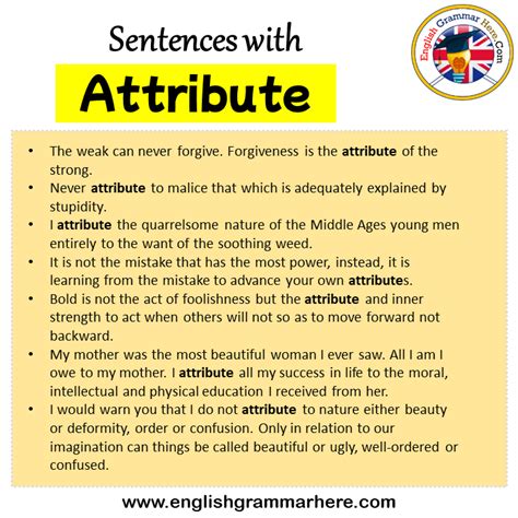 attribute in a sentence meaning
