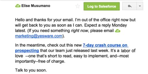 auto reply message example for business