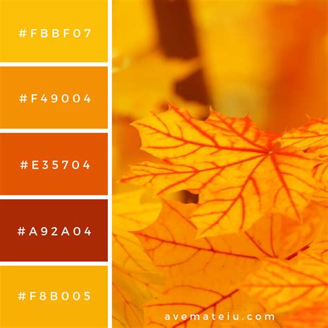 autumn leaf colour code