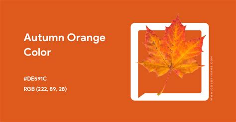 autumn orange colour code
