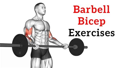 back friendly bicep exercises