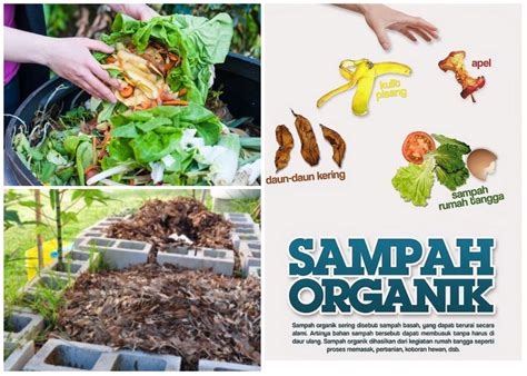 bahan organik untuk kompos