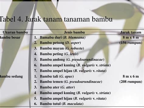 Jenis HHBK bambu