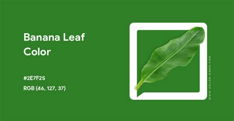 banana leaf green color code