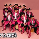 Biografia Banda Machos