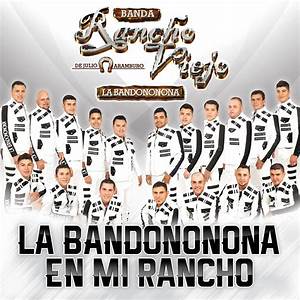 Banda Rancho Viejo De Julio Aramburo