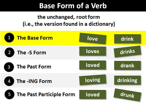 base form of verbs examples