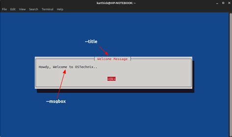 bash script dialog examples