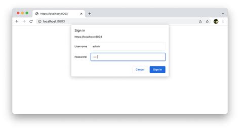 basic auth example
