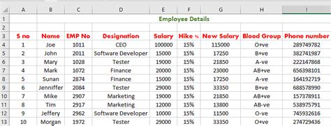 basic excel sample data