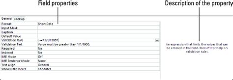 basic features of ms access is field true or false
