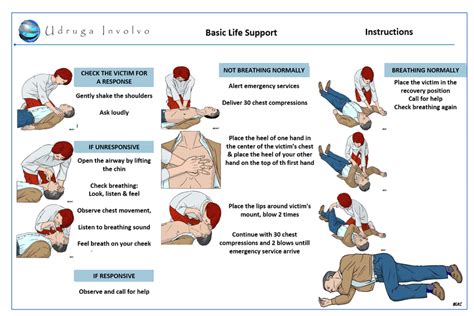 basic life support meaning
