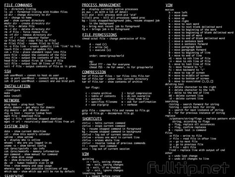 basic linux commands for beginners