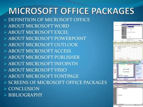 basic microsoft office package