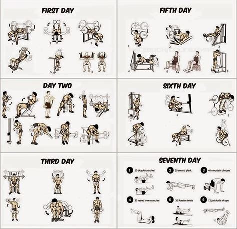 basic muscle building routine