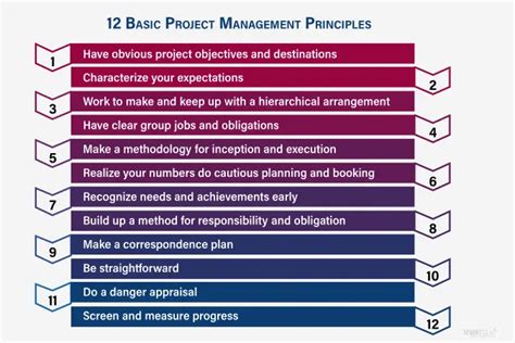 basic principles of project analysis