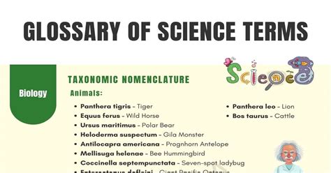 basic terms in science