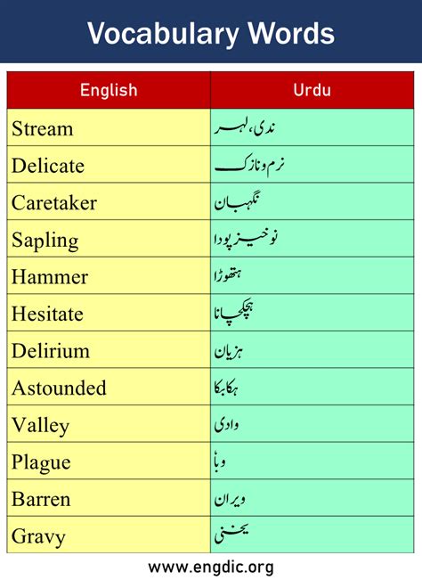 basic vocabulary words with meaning in urdu