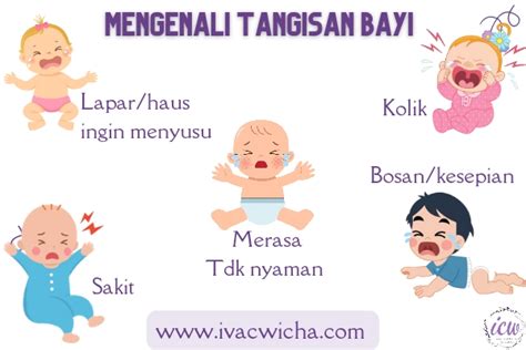 Bayi Rewel
