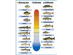 be specific on the type of fish you need