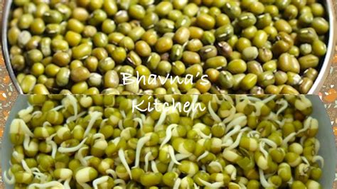 bean sprouts meaning in urdu and english