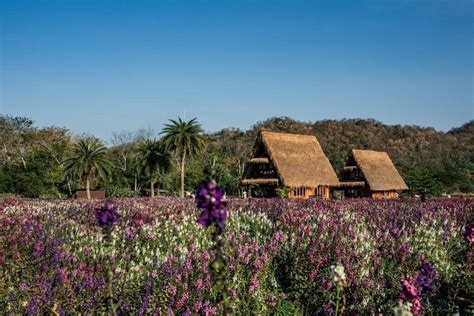 Becks Rewards Catalog