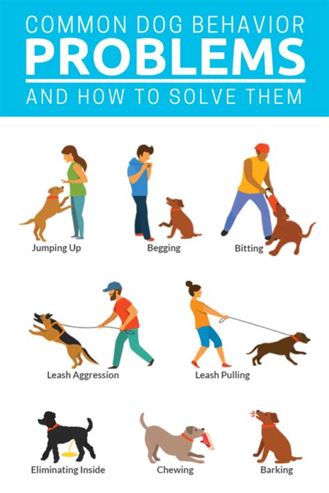 behavioral issues in dog image