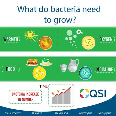 beneficial bacteria growth