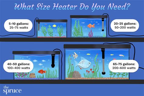 Benefits of Using a Fish Tank Size Calculator